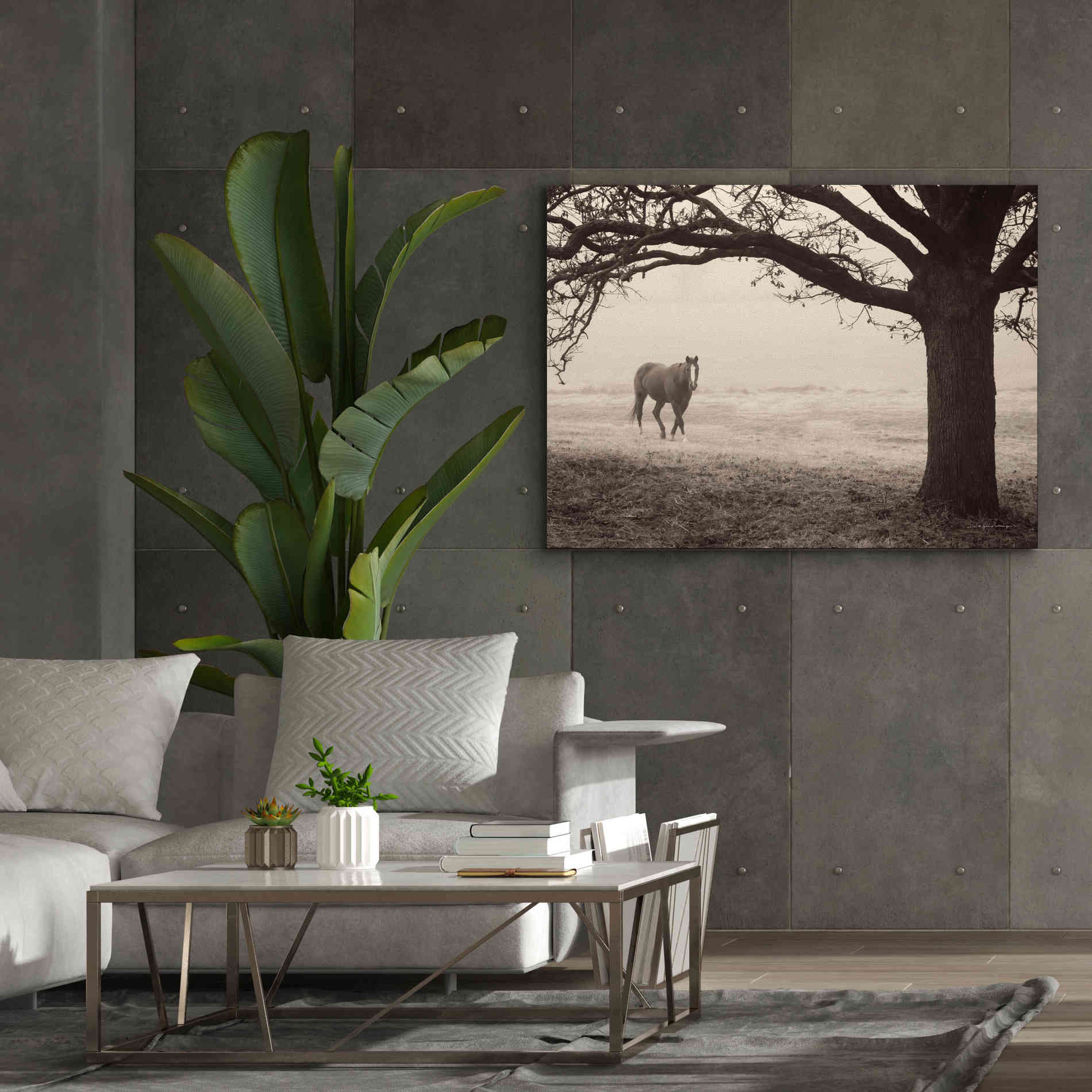 'Hazy Horse I' by Debra Van Swearingen, Canvas Wall Art,54 x 40