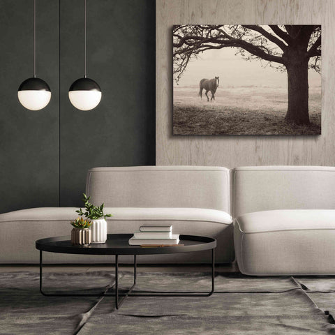 Image of 'Hazy Horse I' by Debra Van Swearingen, Canvas Wall Art,54 x 40