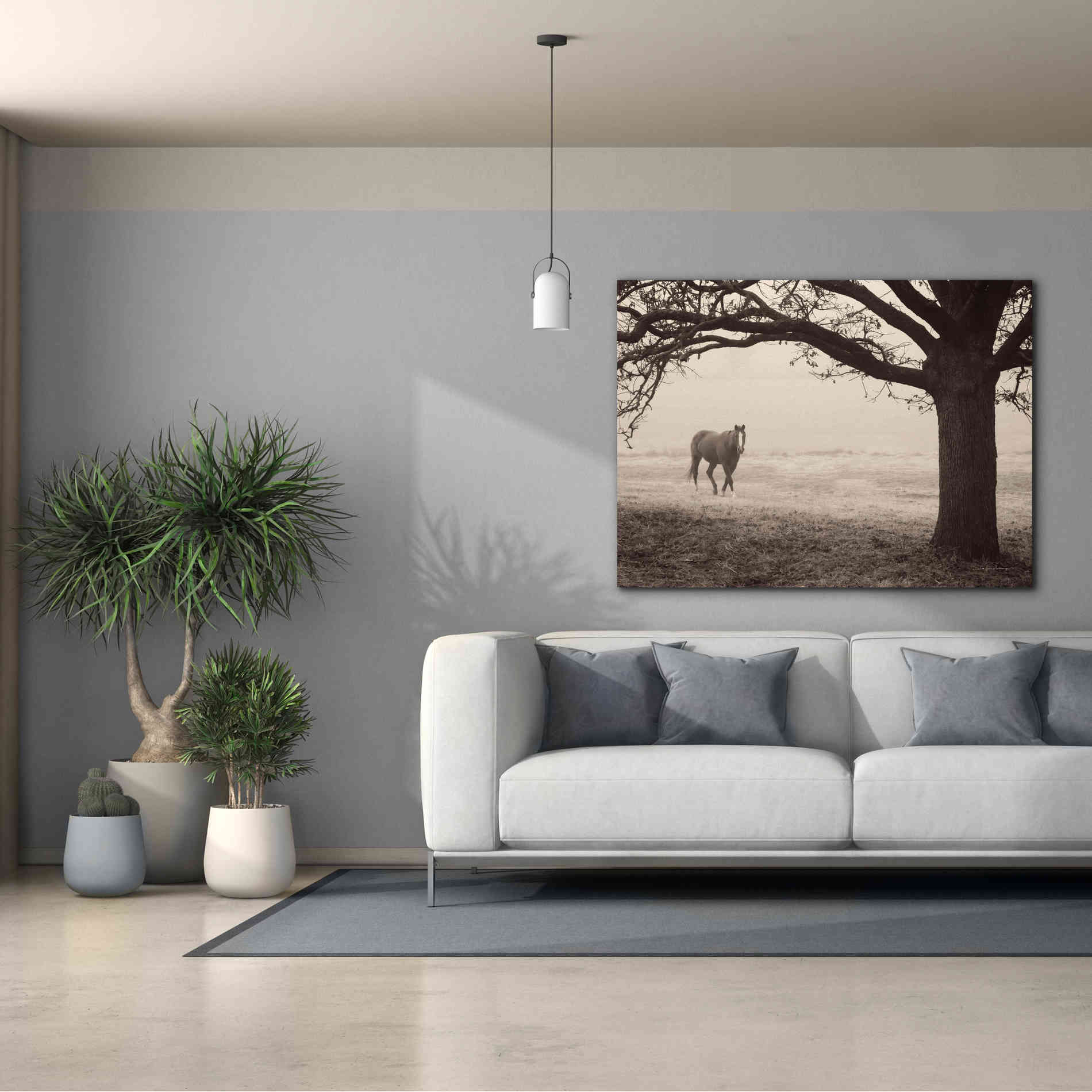 'Hazy Horse I' by Debra Van Swearingen, Canvas Wall Art,54 x 40