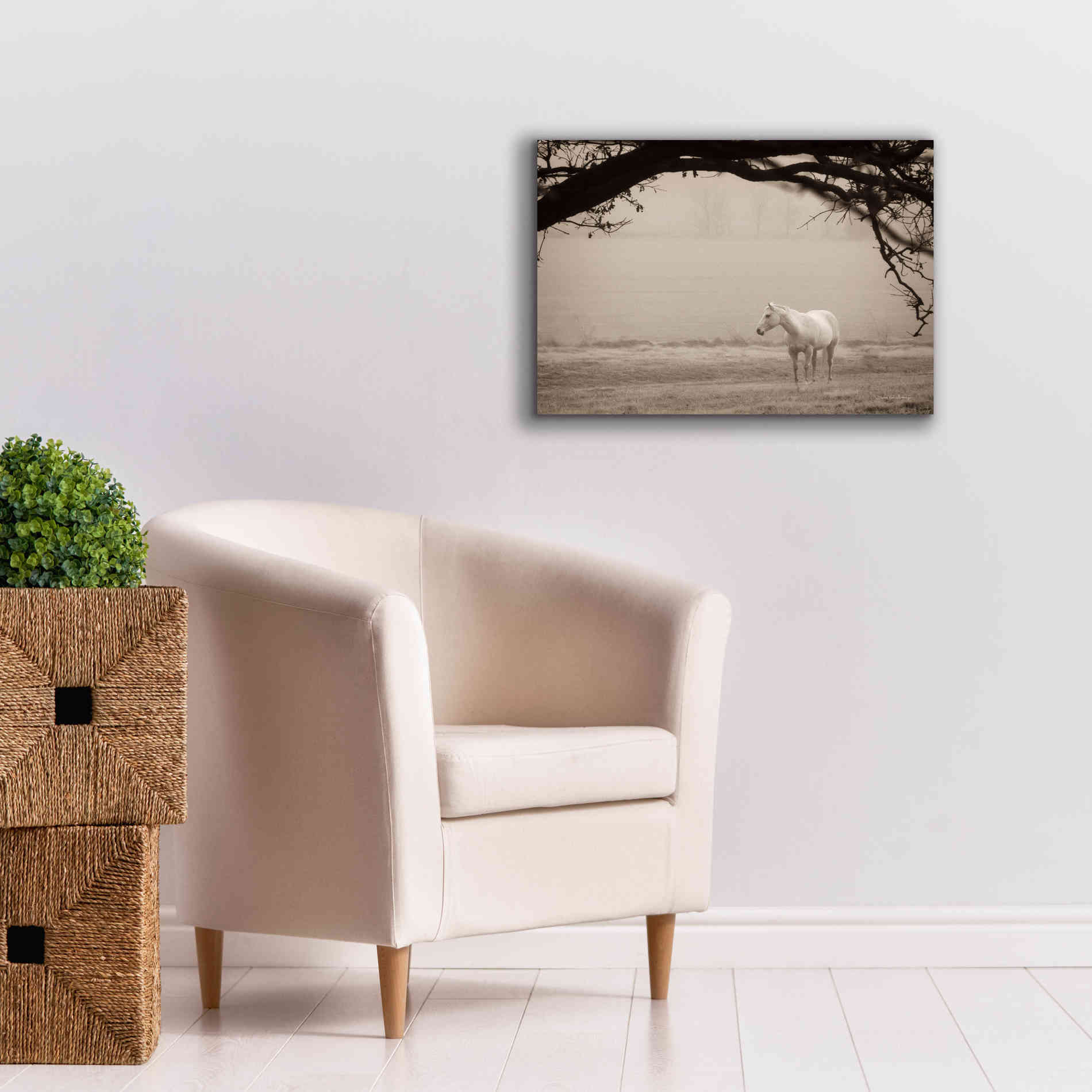 'Hazy Horse II' by Debra Van Swearingen, Canvas Wall Art,26 x 18