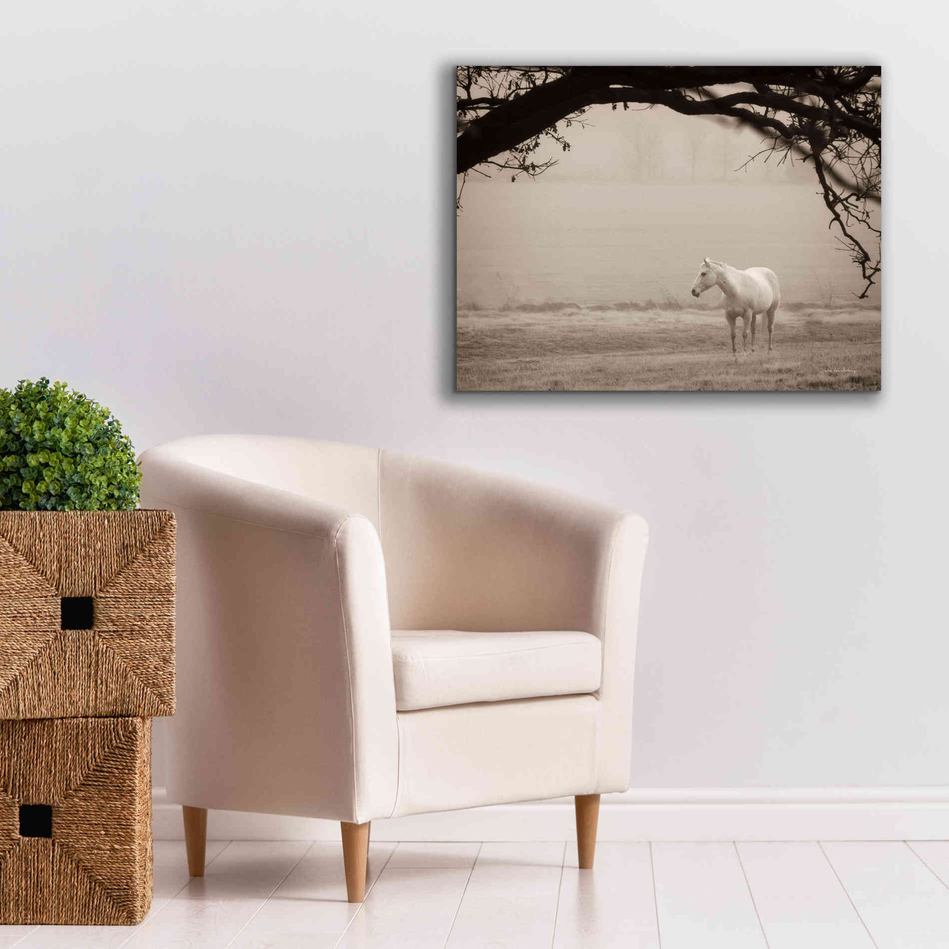 'Hazy Horse II' by Debra Van Swearingen, Canvas Wall Art,34 x 26