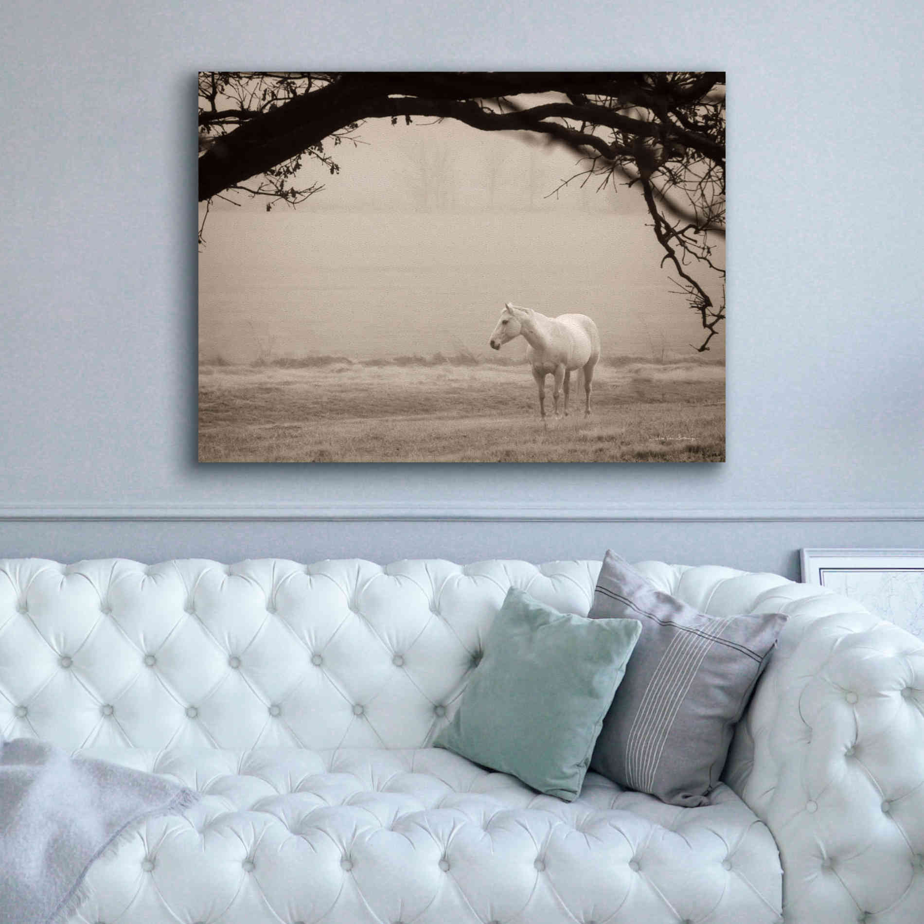 'Hazy Horse II' by Debra Van Swearingen, Canvas Wall Art,54 x 40