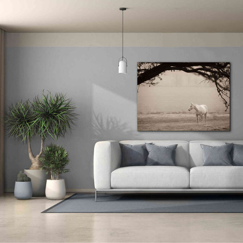 Image of 'Hazy Horse II' by Debra Van Swearingen, Canvas Wall Art,54 x 40