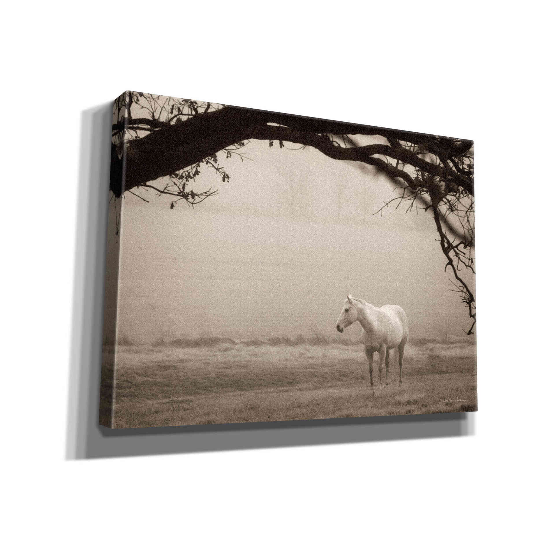 'Hazy Horse II' by Debra Van Swearingen, Canvas Wall Art,16x12x1.1x0,26x18x1.1x0,34x26x1.74x0,54x40x1.74x0