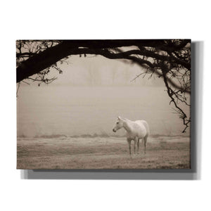'Hazy Horse II' by Debra Van Swearingen, Canvas Wall Art,16x12x1.1x0,26x18x1.1x0,34x26x1.74x0,54x40x1.74x0