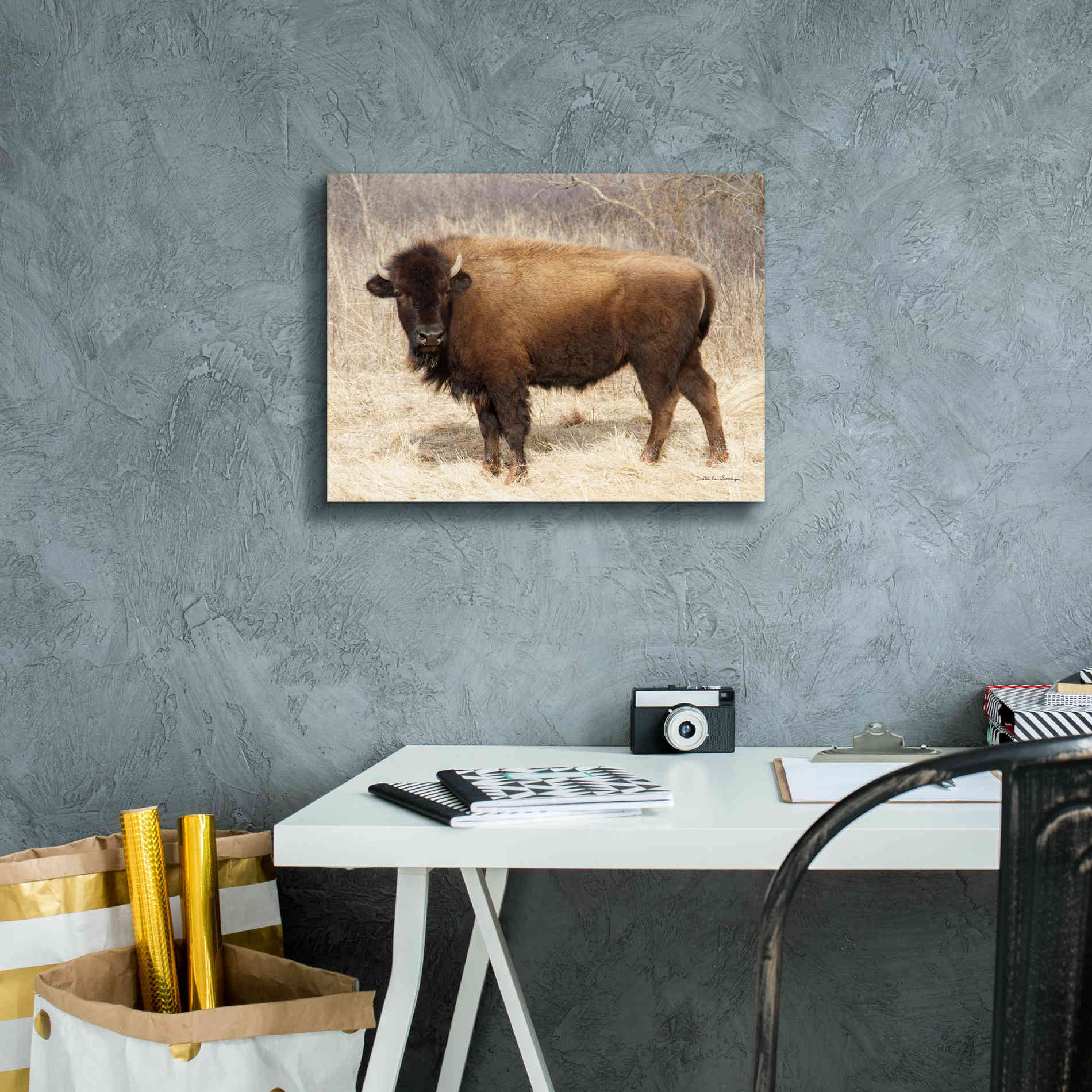 'American Bison I' by Debra Van Swearingen, Canvas Wall Art,16 x 12