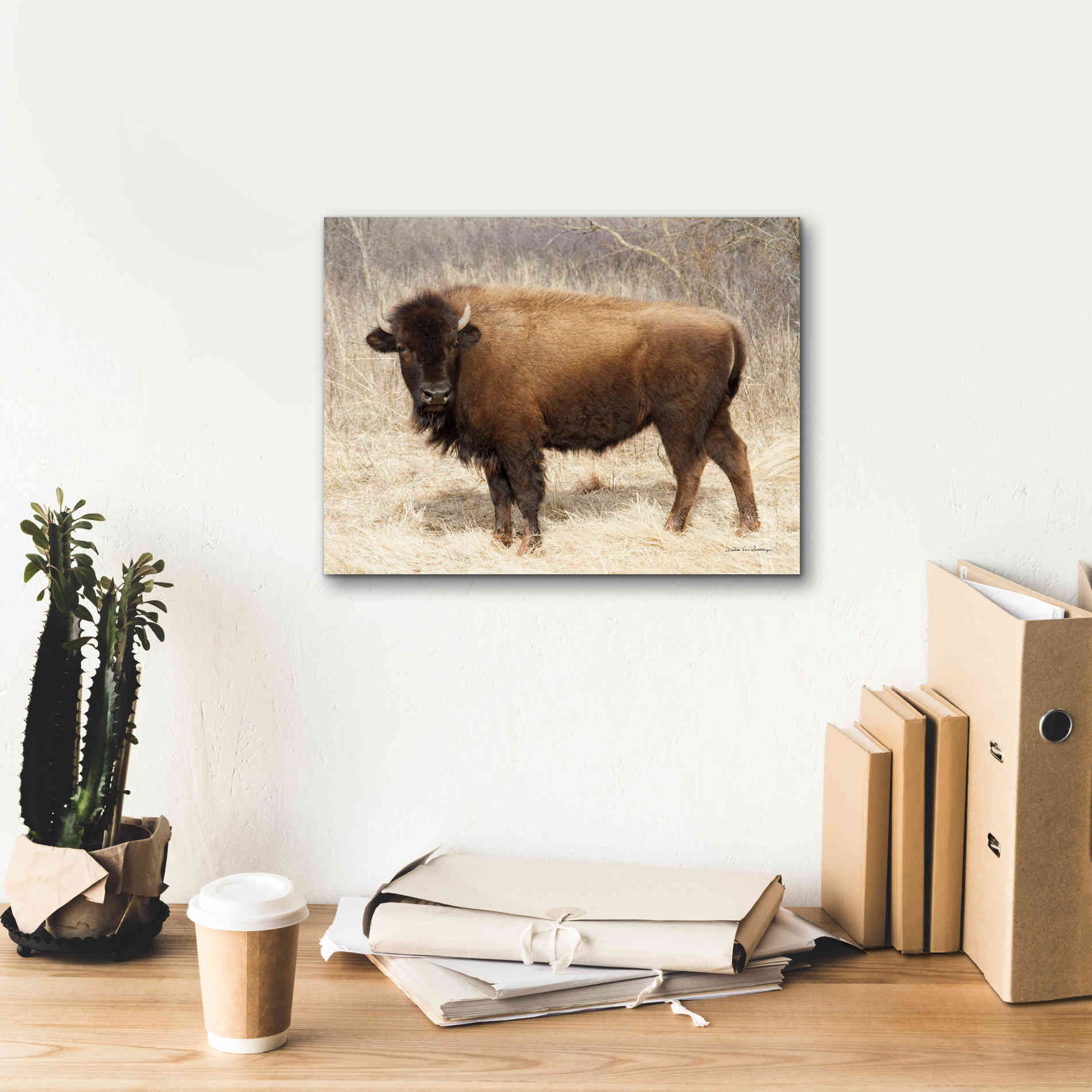 'American Bison I' by Debra Van Swearingen, Canvas Wall Art,16 x 12