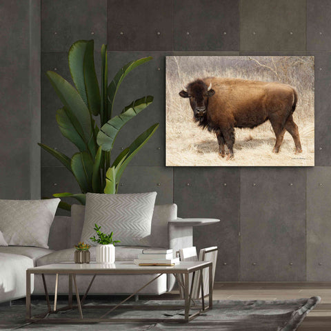 Image of 'American Bison I' by Debra Van Swearingen, Canvas Wall Art,54 x 40