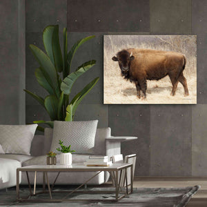 'American Bison I' by Debra Van Swearingen, Canvas Wall Art,54 x 40