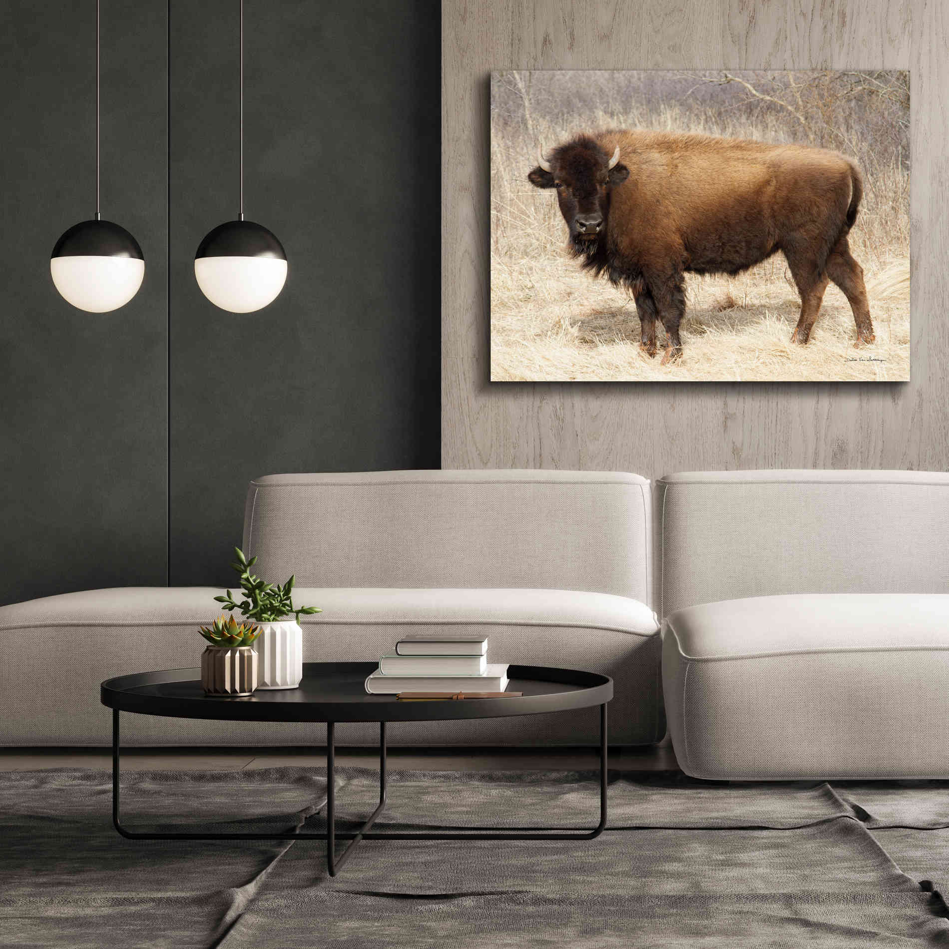 'American Bison I' by Debra Van Swearingen, Canvas Wall Art,54 x 40