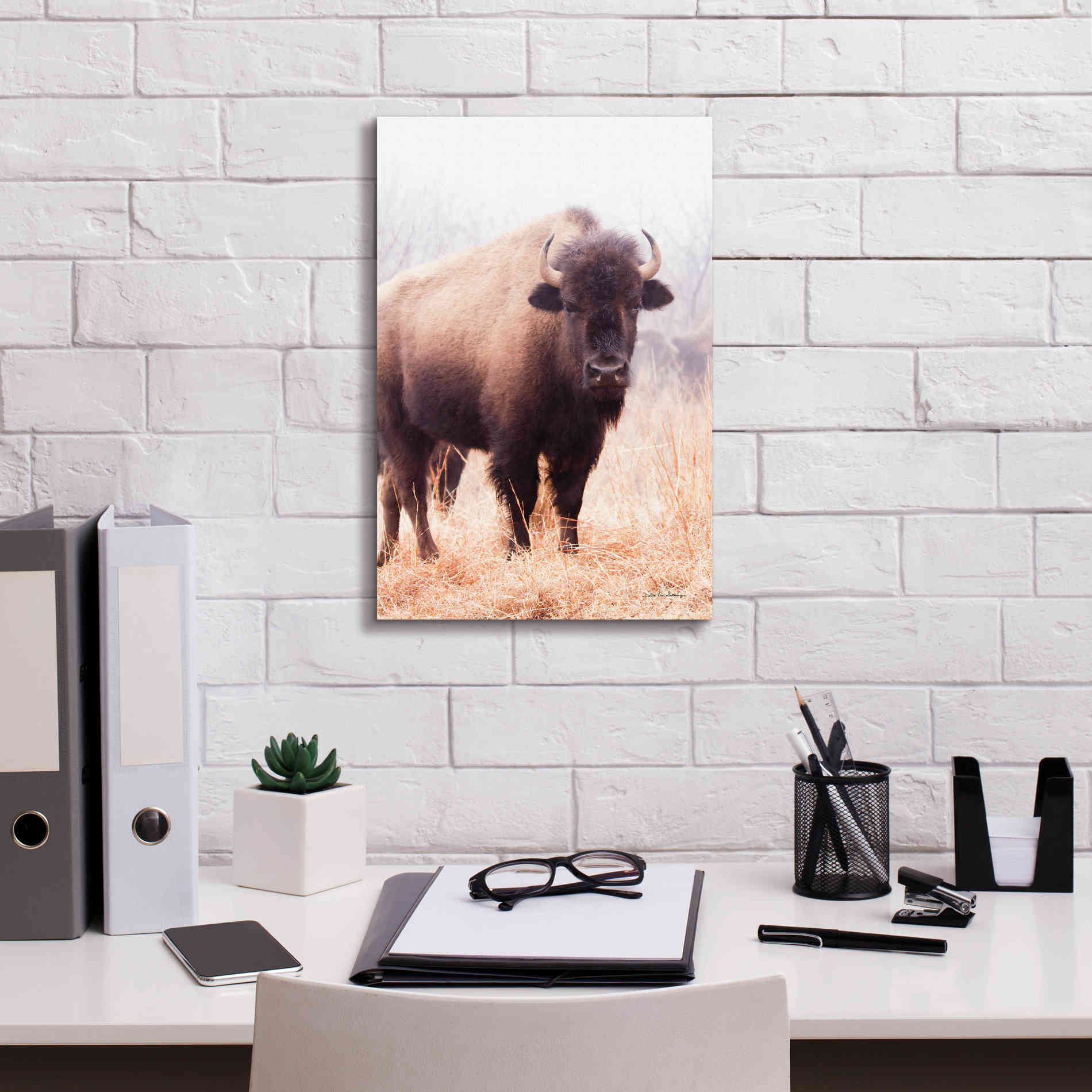 'American Bison V' by Debra Van Swearingen, Canvas Wall Art,12 x 18