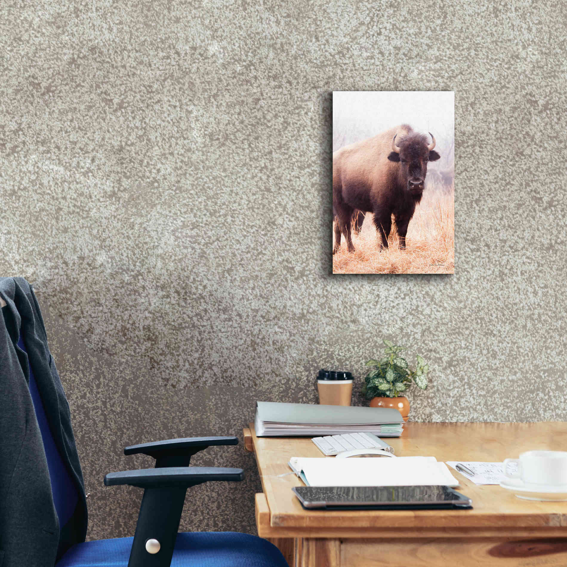 'American Bison V' by Debra Van Swearingen, Canvas Wall Art,12 x 18