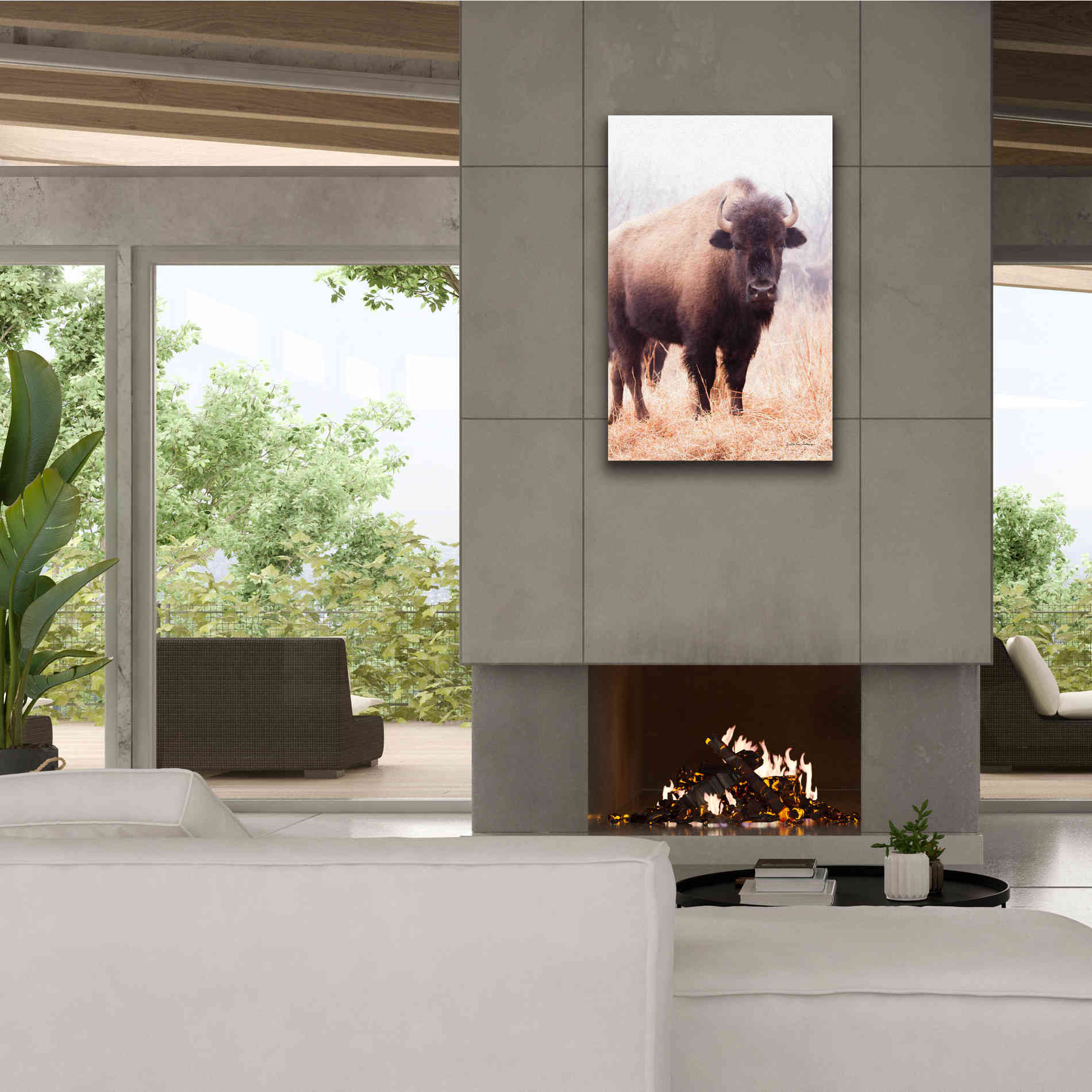 'American Bison V' by Debra Van Swearingen, Canvas Wall Art,26 x 40