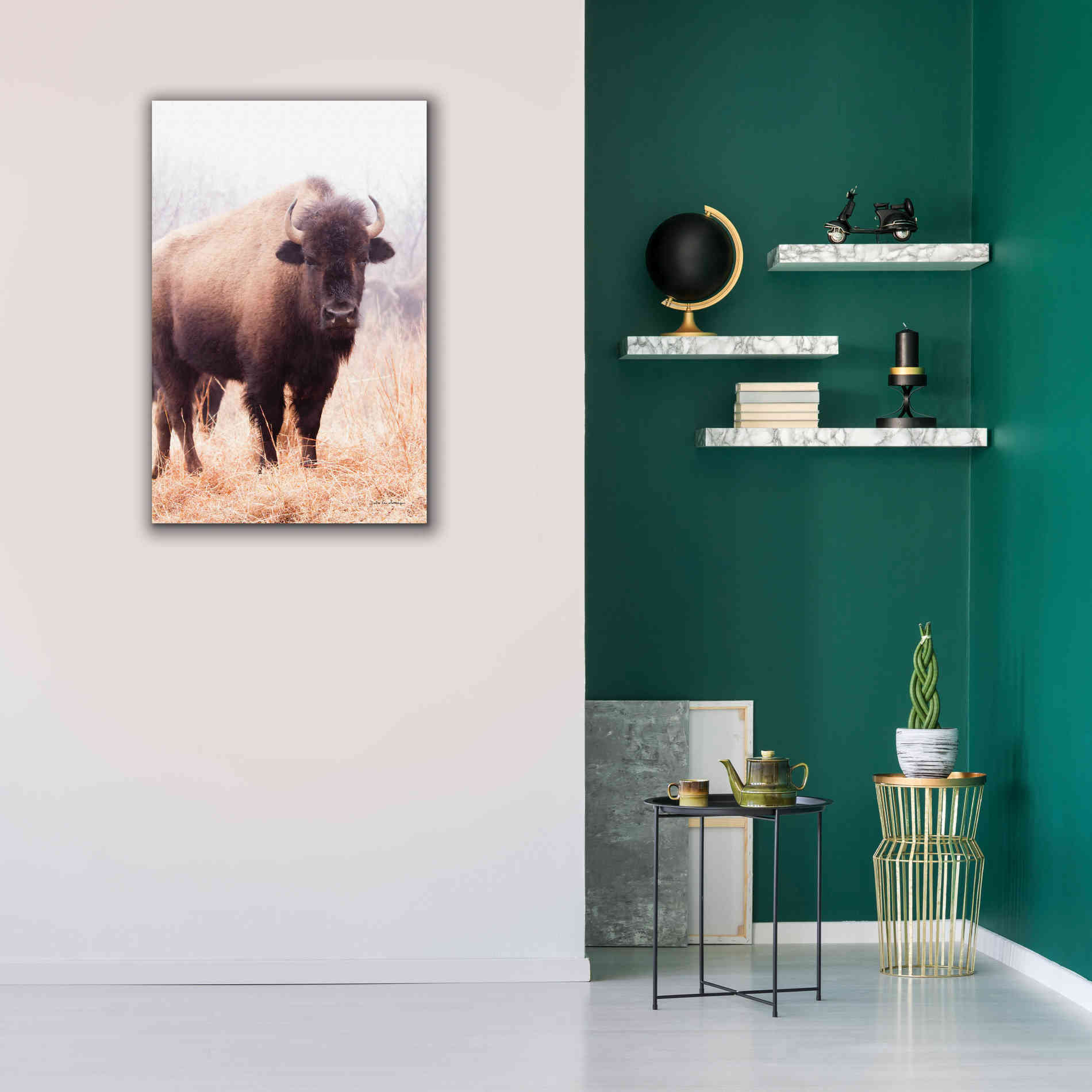 'American Bison V' by Debra Van Swearingen, Canvas Wall Art,26 x 40