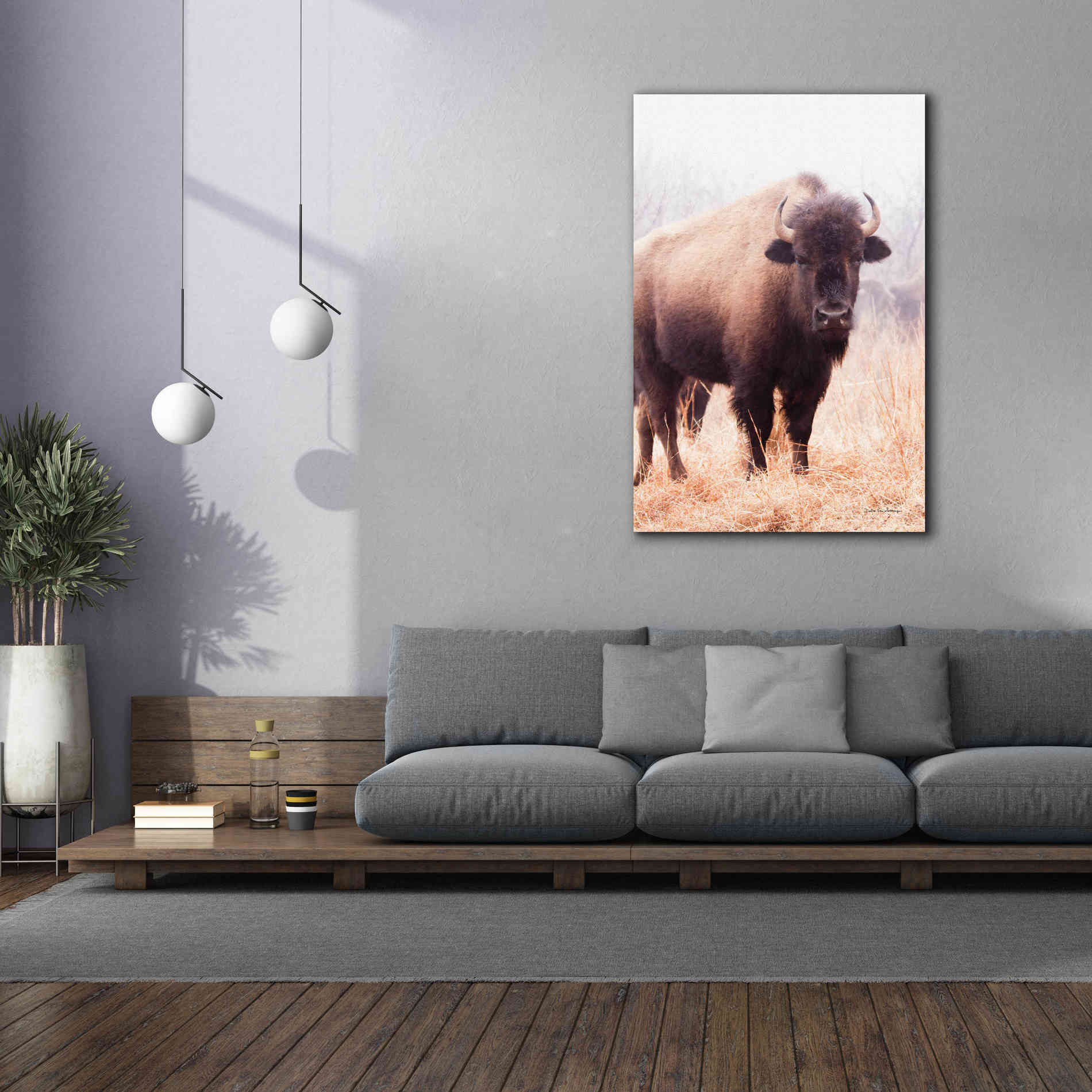 'American Bison V' by Debra Van Swearingen, Canvas Wall Art,40 x 60