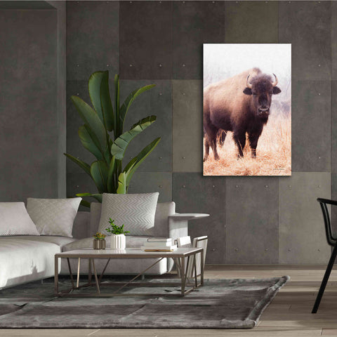 Image of 'American Bison V' by Debra Van Swearingen, Canvas Wall Art,40 x 60