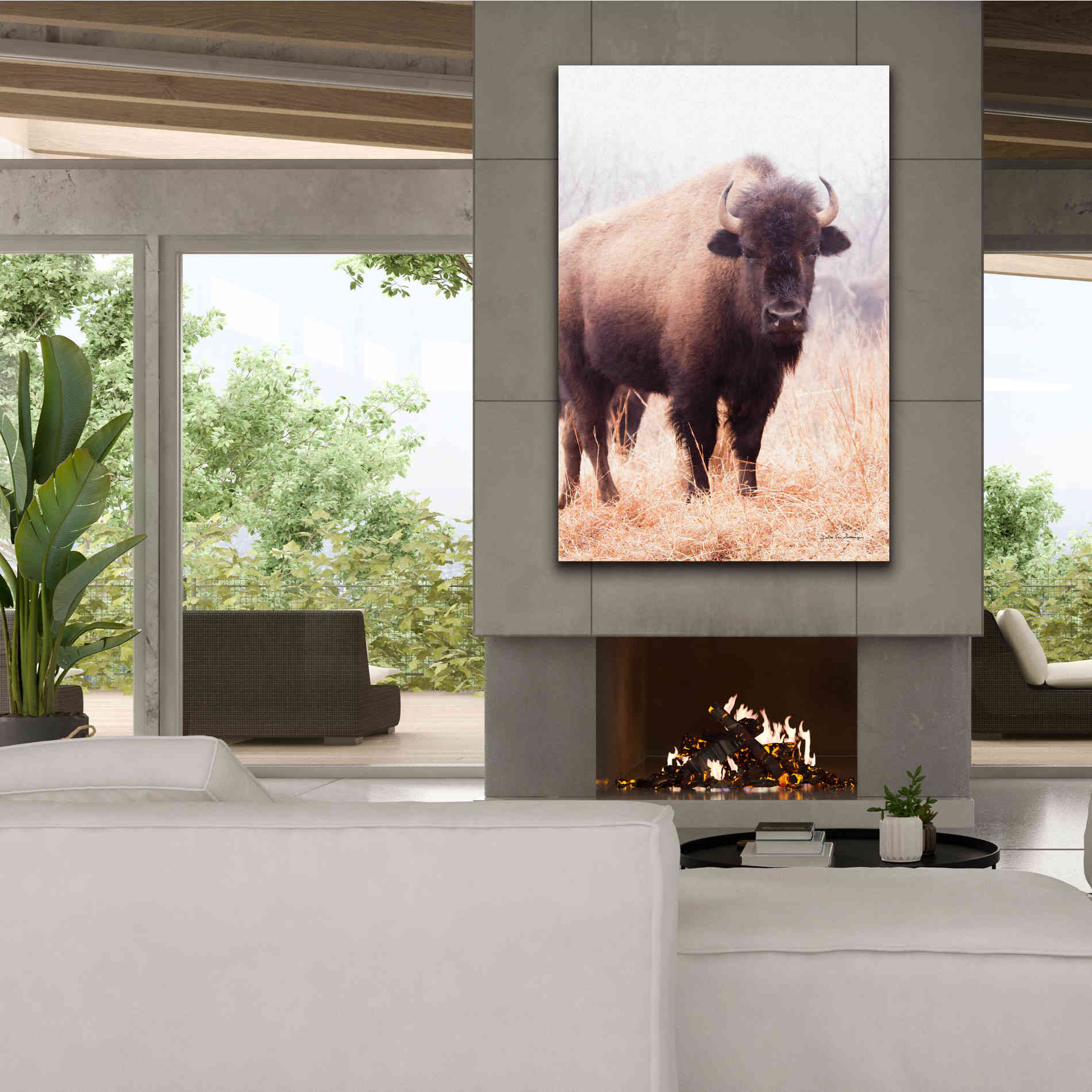 'American Bison V' by Debra Van Swearingen, Canvas Wall Art,40 x 60