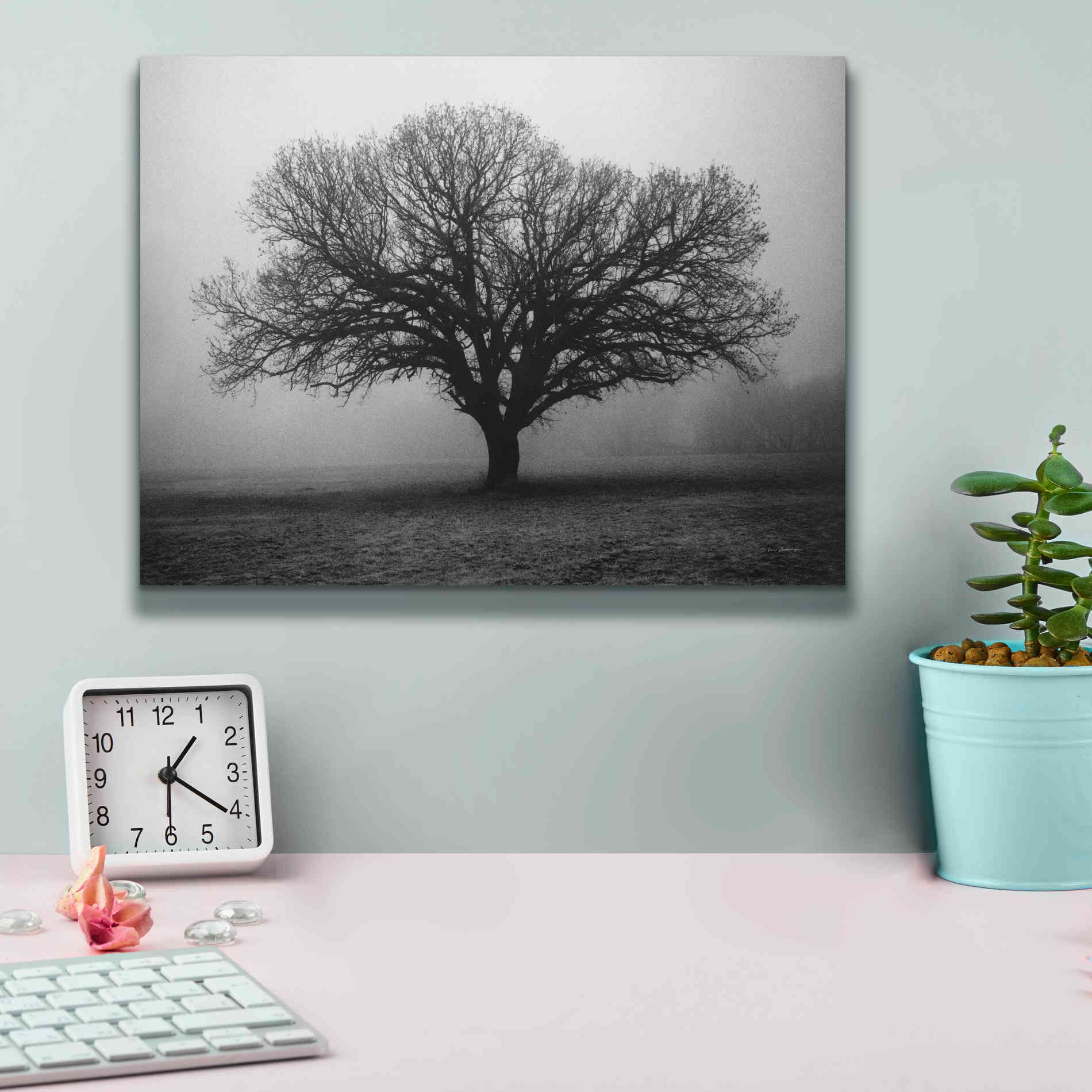 'Evening Mist' by Debra Van Swearingen, Canvas Wall Art,16 x 12