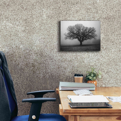 Image of 'Evening Mist' by Debra Van Swearingen, Canvas Wall Art,16 x 12