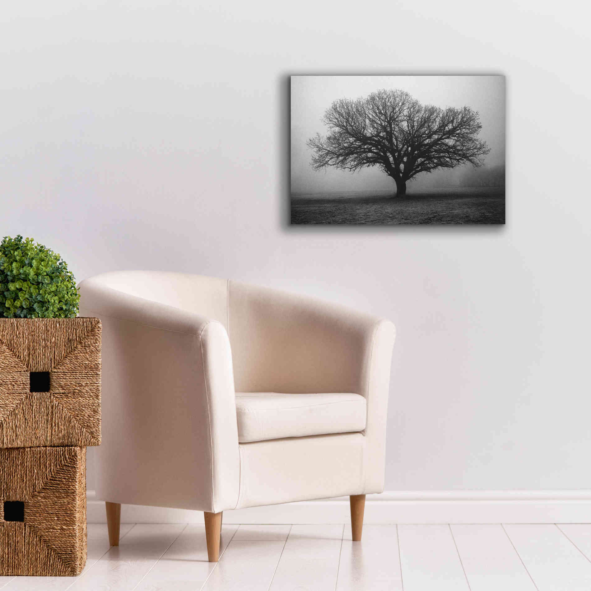 'Evening Mist' by Debra Van Swearingen, Canvas Wall Art,26 x 18