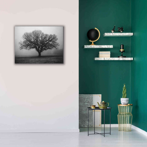 Image of 'Evening Mist' by Debra Van Swearingen, Canvas Wall Art,34 x 26