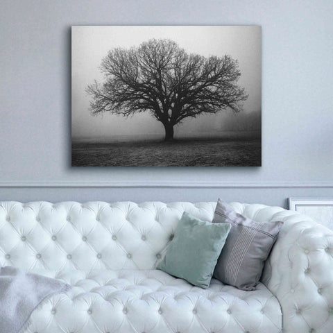 Image of 'Evening Mist' by Debra Van Swearingen, Canvas Wall Art,54 x 40