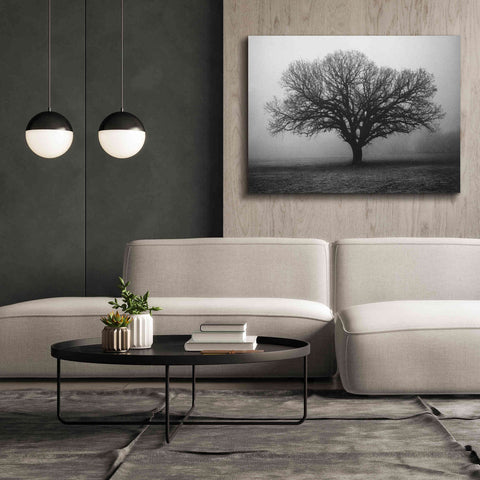 Image of 'Evening Mist' by Debra Van Swearingen, Canvas Wall Art,54 x 40