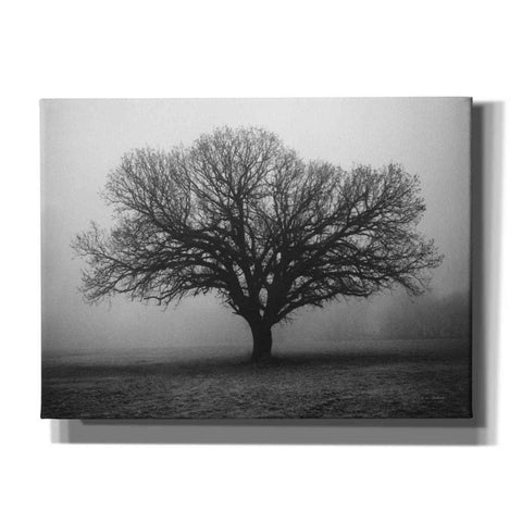 Image of 'Evening Mist' by Debra Van Swearingen, Canvas Wall Art,16x12x1.1x0,26x18x1.1x0,34x26x1.74x0,54x40x1.74x0