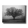 'Evening Mist' by Debra Van Swearingen, Canvas Wall Art,16x12x1.1x0,26x18x1.1x0,34x26x1.74x0,54x40x1.74x0