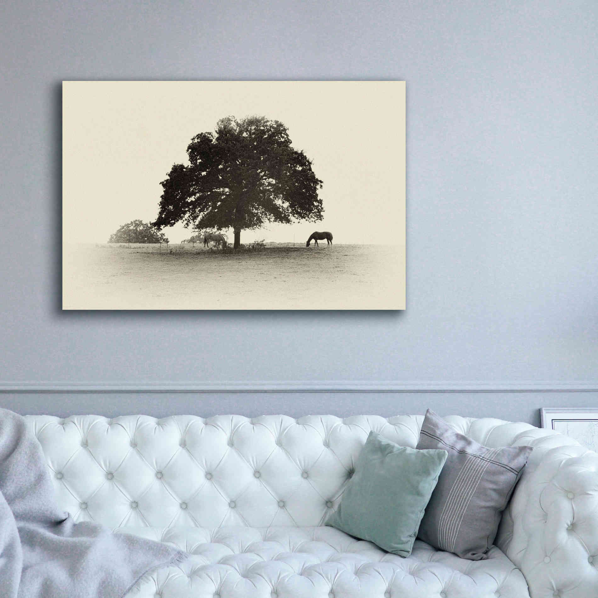 'Horses and Trees I' by Debra Van Swearingen, Canvas Wall Art,60 x 40