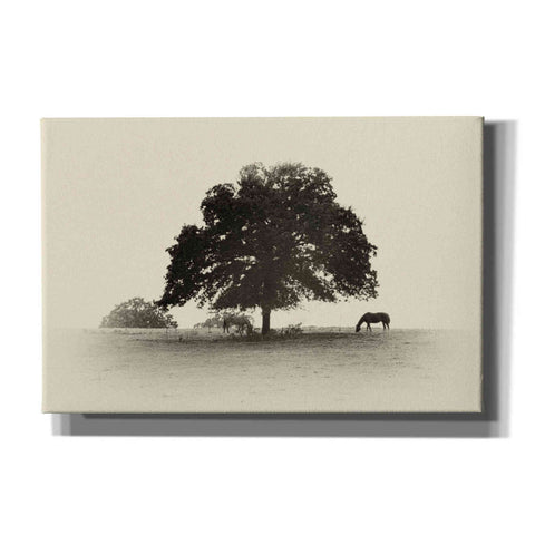 Image of 'Horses and Trees I' by Debra Van Swearingen, Canvas Wall Art,18x12x1.1x0,26x18x1.1x0,40x26x1.74x0,60x40x1.74x0