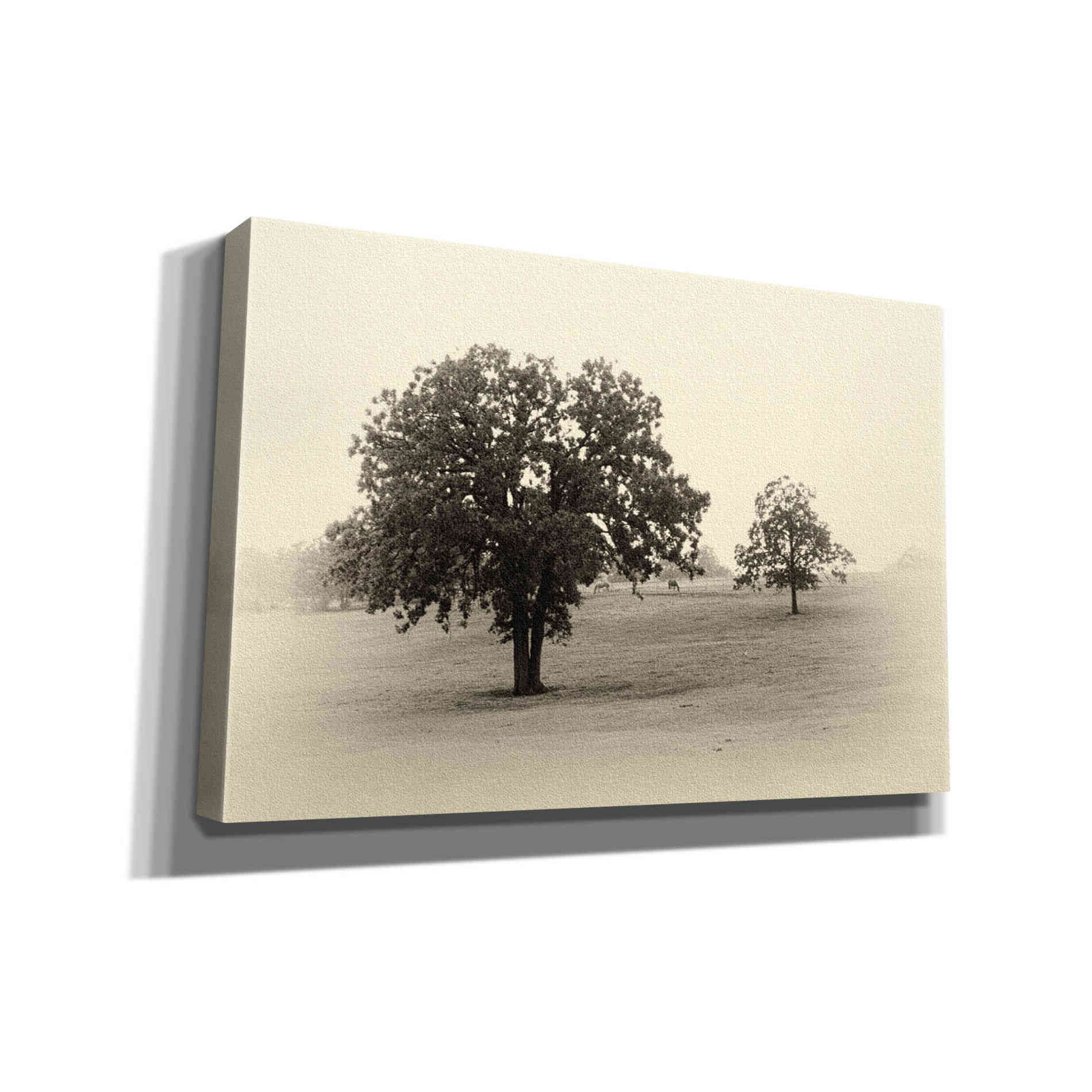 'Horses and Trees II' by Debra Van Swearingen, Canvas Wall Art,18x12x1.1x0,26x18x1.1x0,40x26x1.74x0,60x40x1.74x0