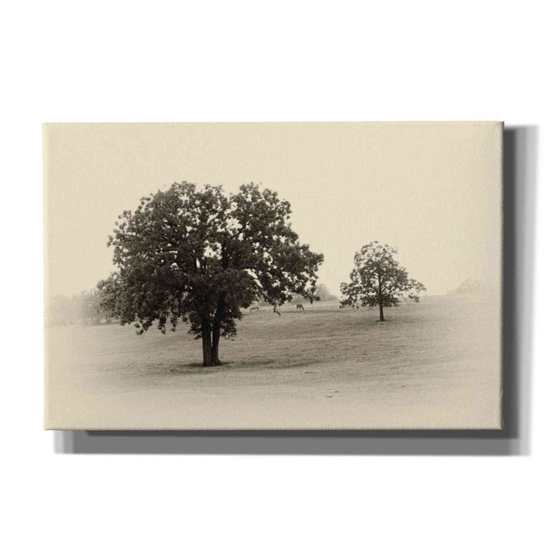 'Horses and Trees II' by Debra Van Swearingen, Canvas Wall Art,18x12x1.1x0,26x18x1.1x0,40x26x1.74x0,60x40x1.74x0