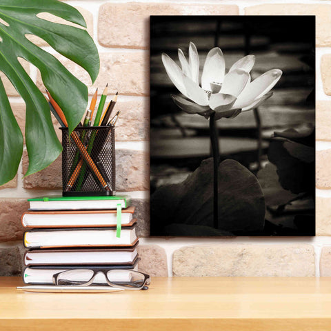 Image of 'Lotus Flower VIII' by Debra Van Swearingen, Canvas Wall Art,12 x 16