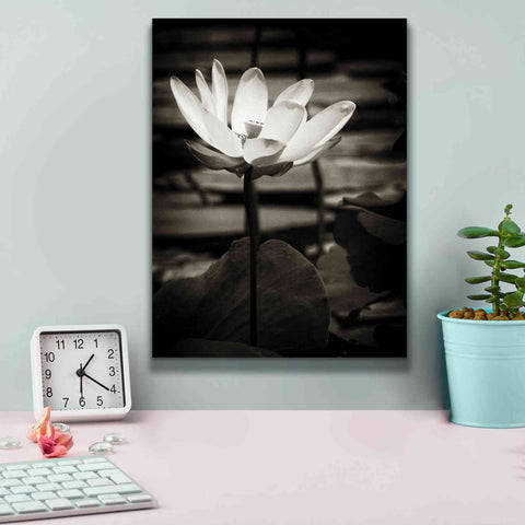 Image of 'Lotus Flower VIII' by Debra Van Swearingen, Canvas Wall Art,12 x 16