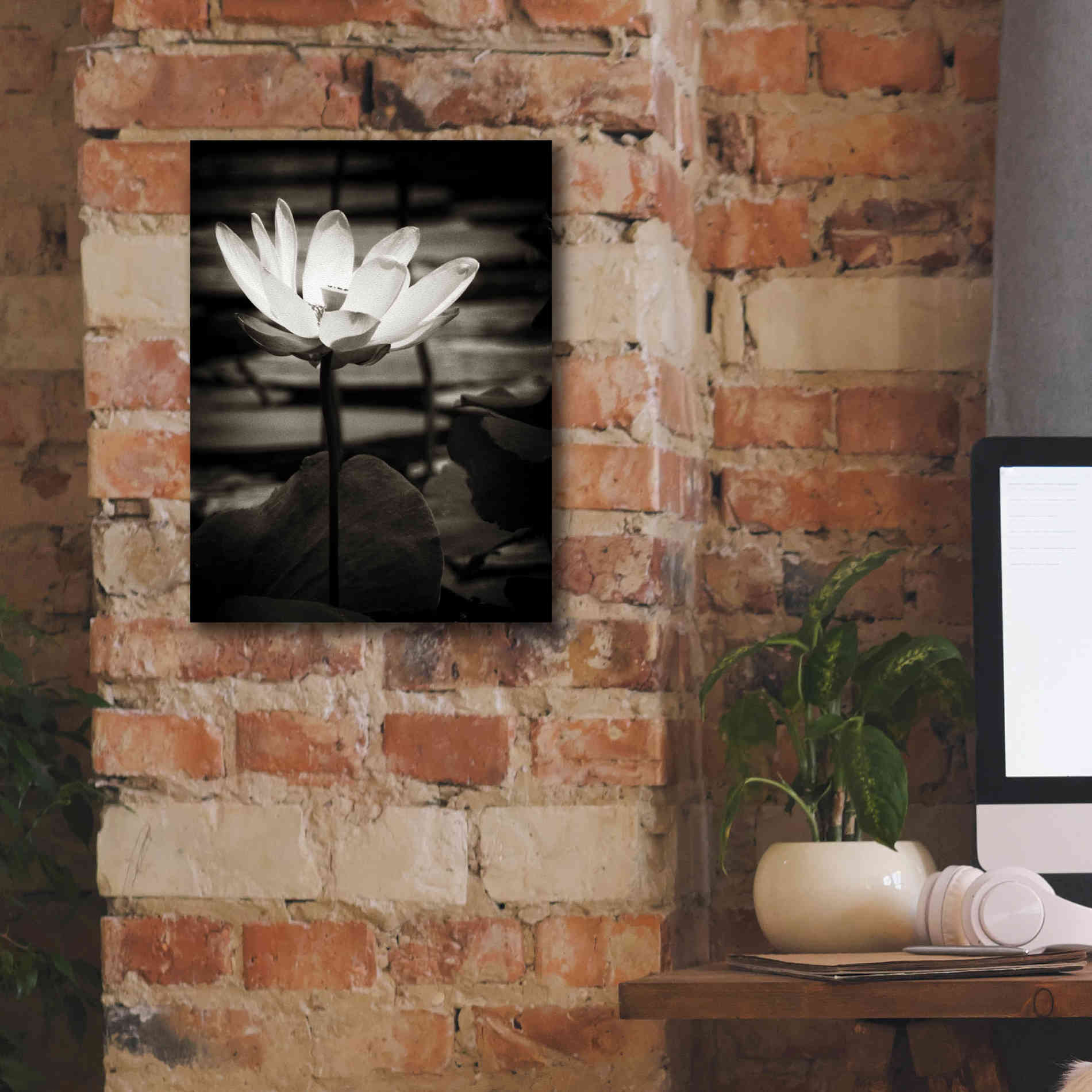 'Lotus Flower VIII' by Debra Van Swearingen, Canvas Wall Art,12 x 16