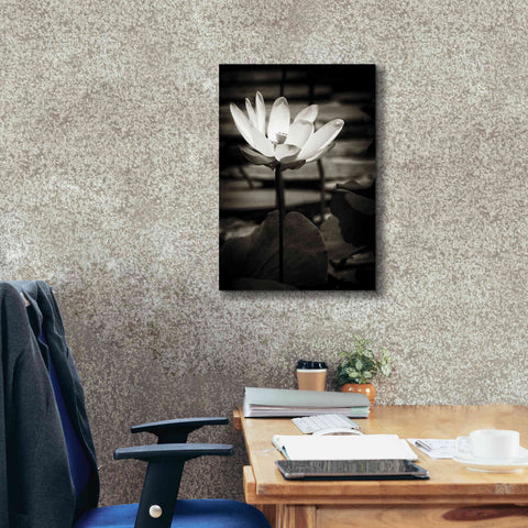 Image of 'Lotus Flower VIII' by Debra Van Swearingen, Canvas Wall Art,18 x 26