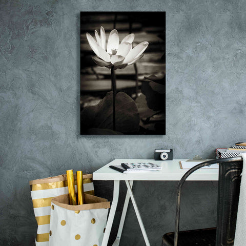 Image of 'Lotus Flower VIII' by Debra Van Swearingen, Canvas Wall Art,18 x 26