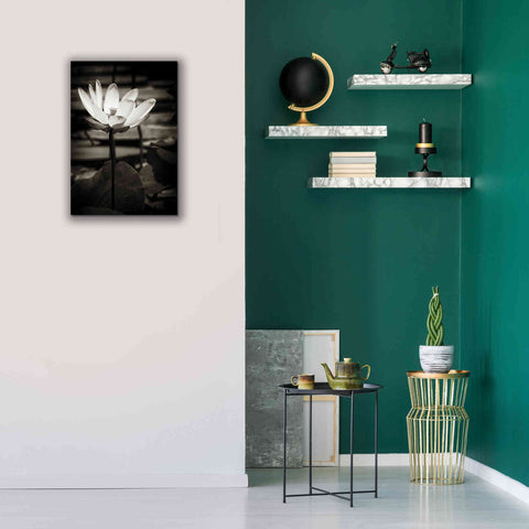 Image of 'Lotus Flower VIII' by Debra Van Swearingen, Canvas Wall Art,18 x 26