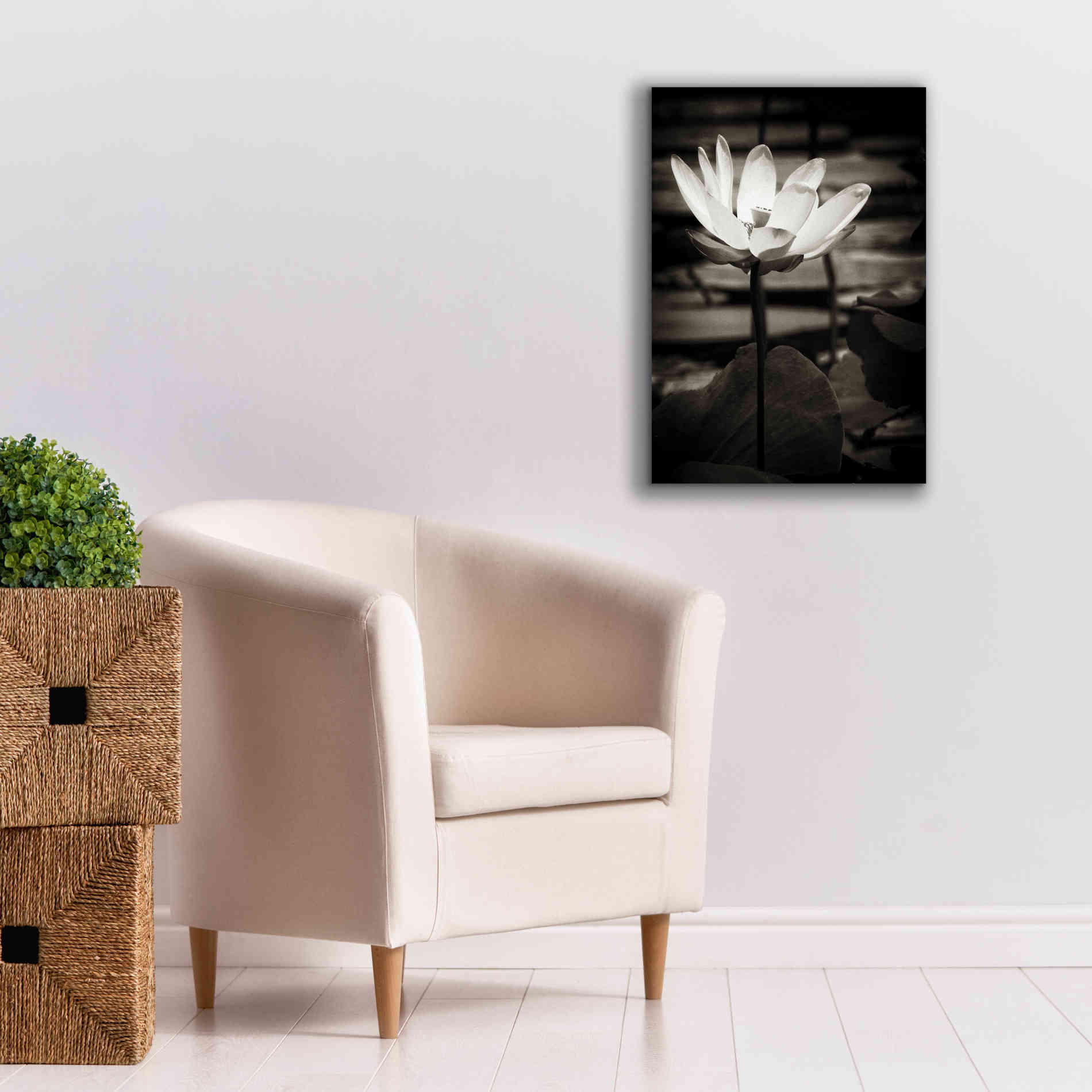 'Lotus Flower VIII' by Debra Van Swearingen, Canvas Wall Art,18 x 26