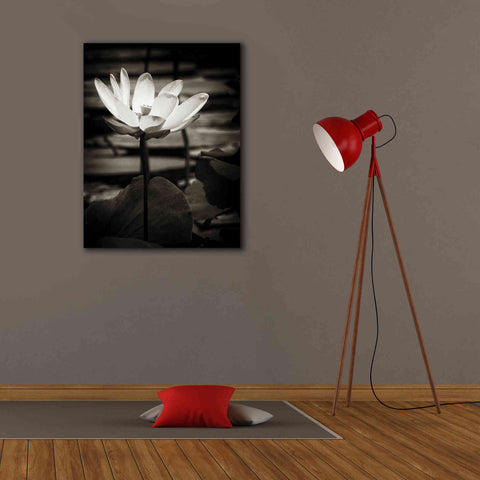 Image of 'Lotus Flower VIII' by Debra Van Swearingen, Canvas Wall Art,26 x 34
