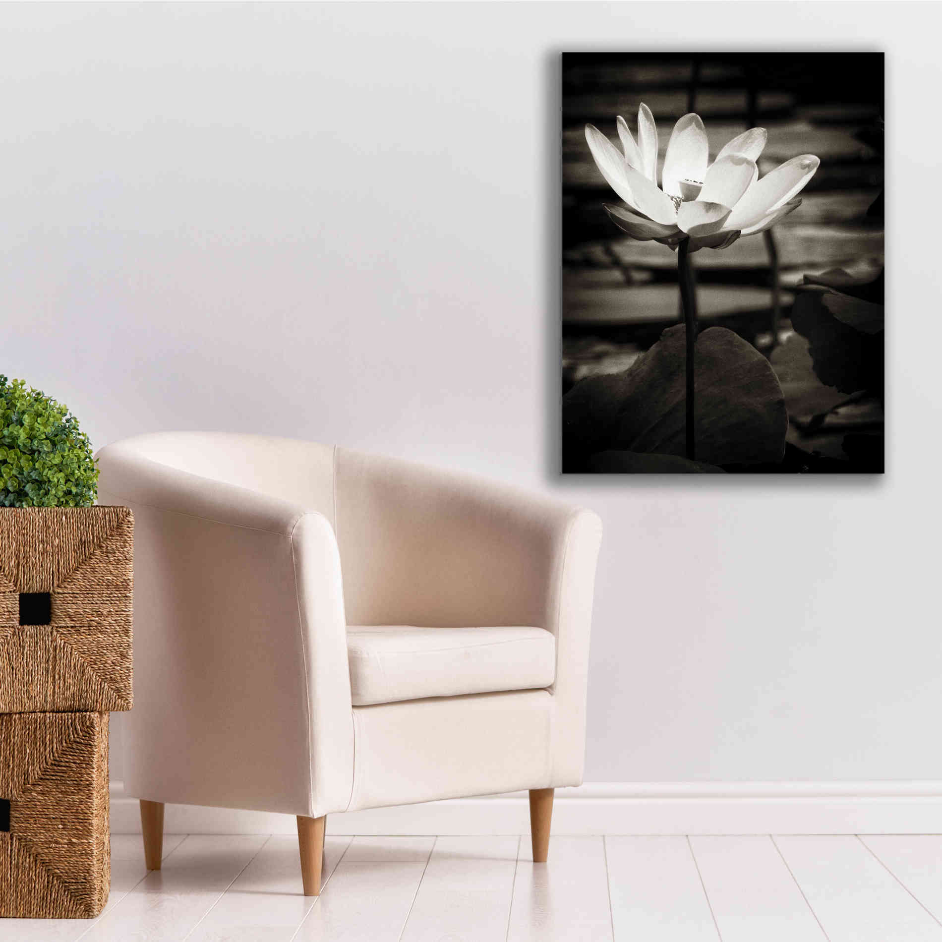 'Lotus Flower VIII' by Debra Van Swearingen, Canvas Wall Art,26 x 34