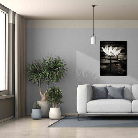 Image of 'Lotus Flower VIII' by Debra Van Swearingen, Canvas Wall Art,26 x 34