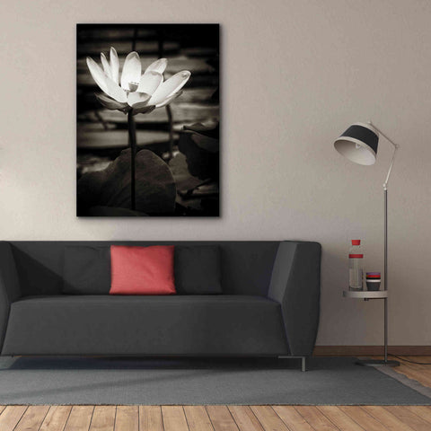 Image of 'Lotus Flower VIII' by Debra Van Swearingen, Canvas Wall Art,40 x 54