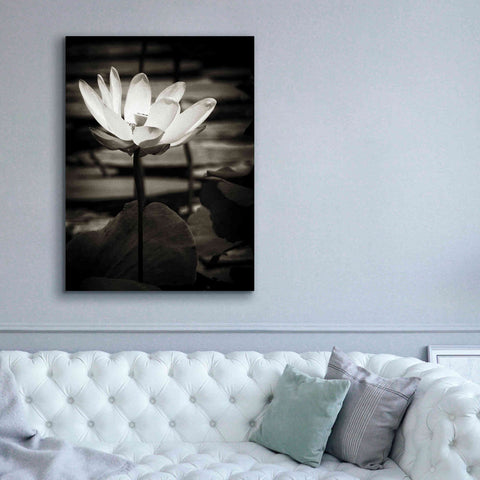 Image of 'Lotus Flower VIII' by Debra Van Swearingen, Canvas Wall Art,40 x 54