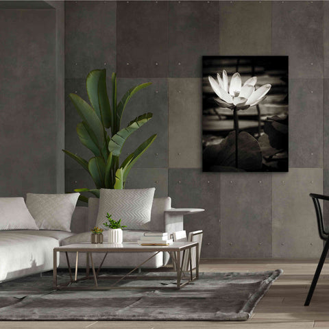 Image of 'Lotus Flower VIII' by Debra Van Swearingen, Canvas Wall Art,40 x 54