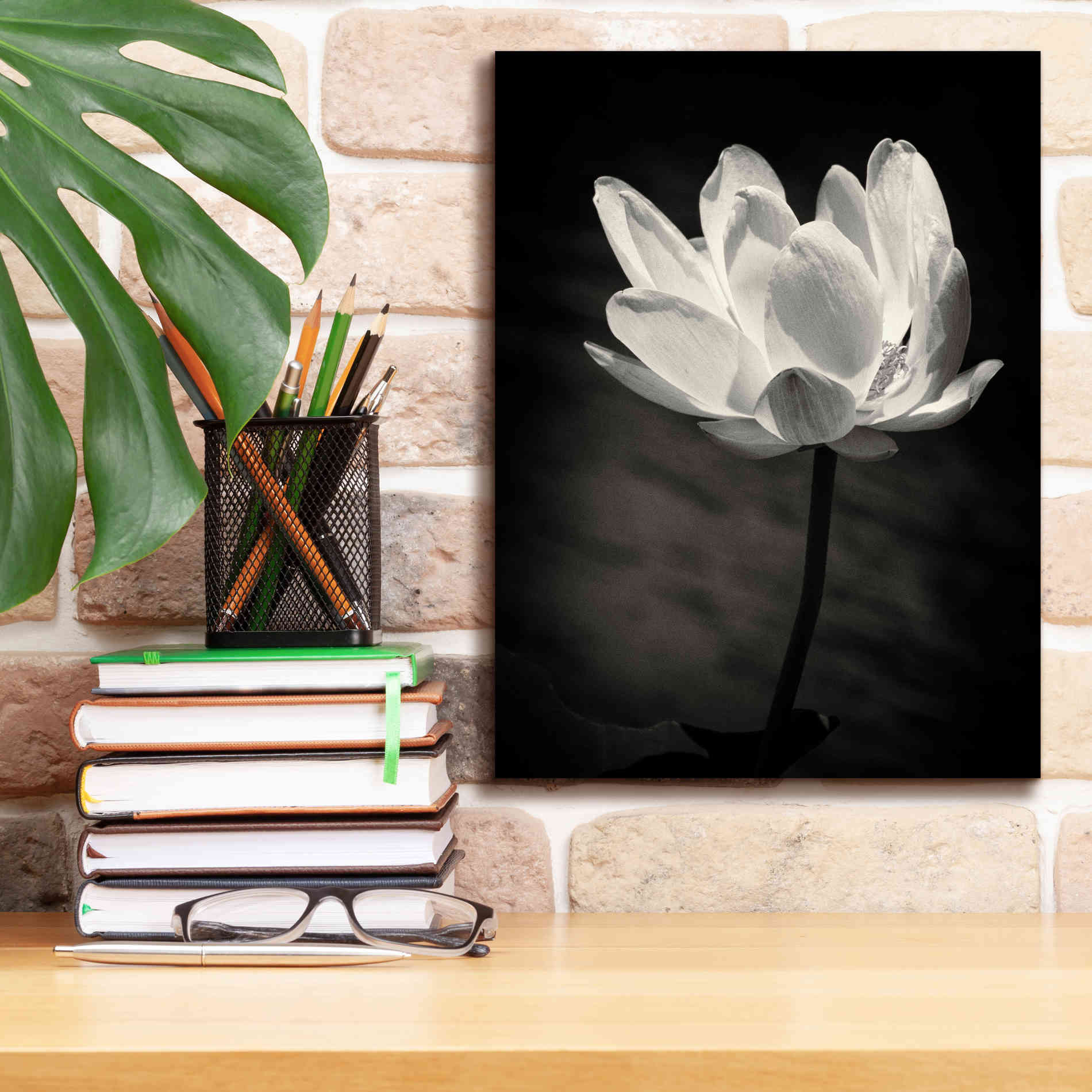 'Lotus Flower X' by Debra Van Swearingen, Canvas Wall Art,12 x 16