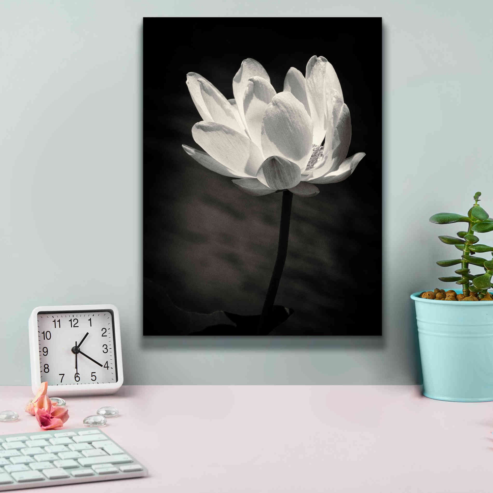 'Lotus Flower X' by Debra Van Swearingen, Canvas Wall Art,12 x 16