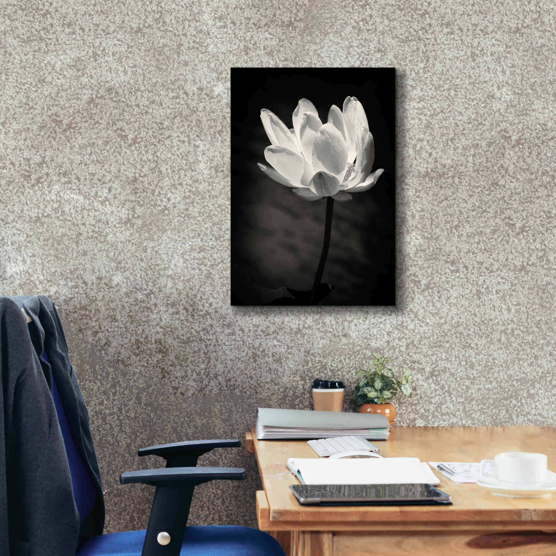 'Lotus Flower X' by Debra Van Swearingen, Canvas Wall Art,18 x 26