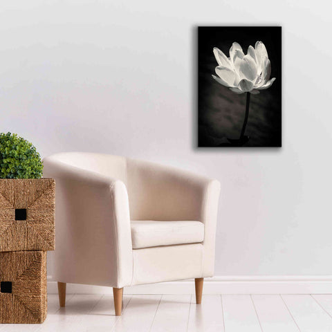 Image of 'Lotus Flower X' by Debra Van Swearingen, Canvas Wall Art,18 x 26